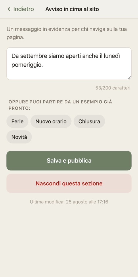 La pagina riservata vista da un telefono.